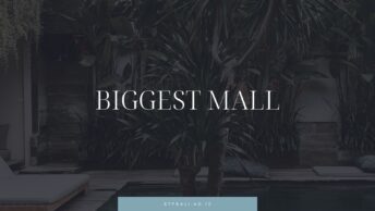 Cover Biggest Mall
